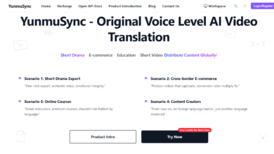 AI video Translation